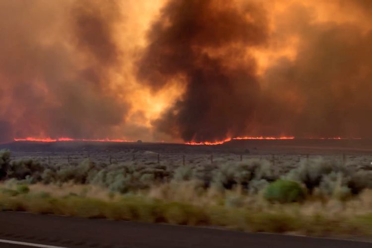 Kebakaran hutan yang dinamai Loyalton Fire, terlihat dari jalan tol Lassen County, California, Amerika Serikat pada Sabtu (15/8/2020).