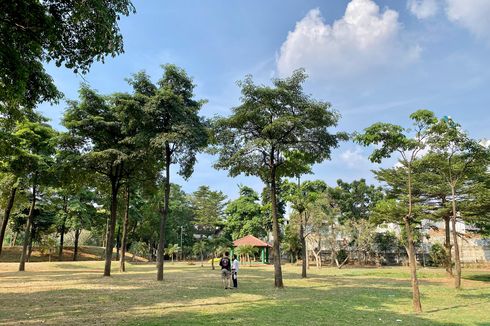 Taman Bambu di Jakarta Timur, Asyik buat Nongkrong Bareng Teman