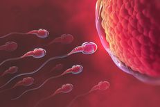14 Cara Meningkatkan Kualitas Sperma untuk Mendukung Program Hamil