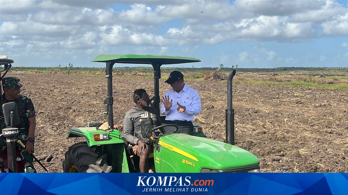 Amran: Sawah dari Program Cetak Sawah Milik Rakyat