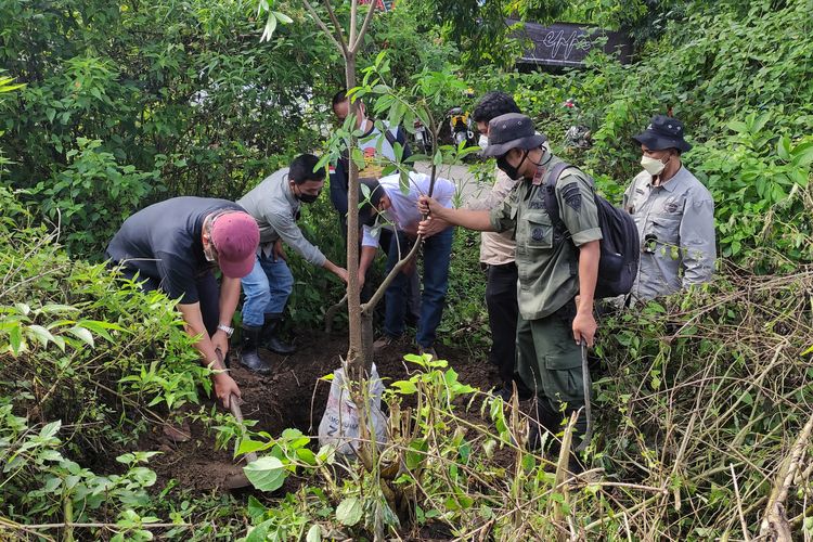 Beberapa relawan saat menanam pohon di resapan air Sumber Papringan Sugihwaras, Kabupaten Kediri, Jawa Timur.
