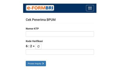 Laman eform BRI