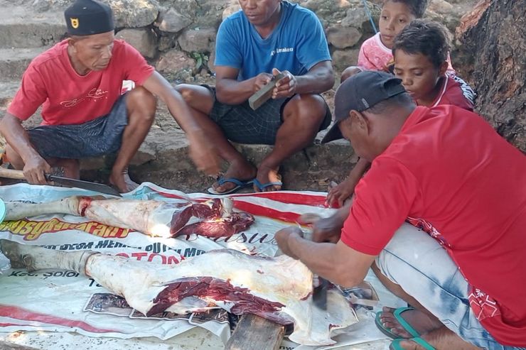 Curhat Korban Bencana Aceh: Senang Dapat Hewan Kurban, Sedih Ekonomi Belum Pulih