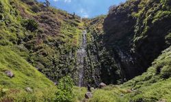TN Gunung Merbabu Tutup Akses ke Air Terjun Semuncar