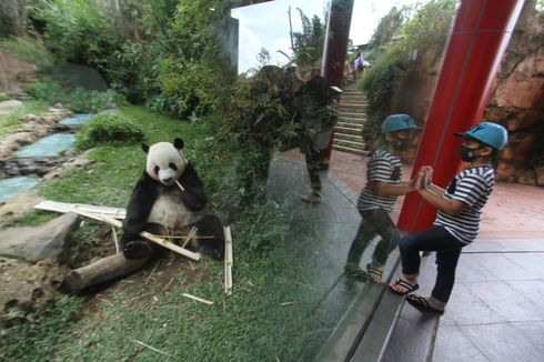 Libur Panjang, Wisatawan di Bogor Selektif Pilih Tempat Wisata