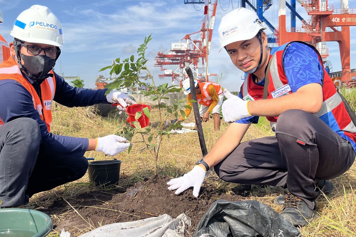 PT Pelindo Terminal Petikemas melakukan penanaman pohon secara serentak di seluruh terminal yang dikelola perusahaan. Hal ini dilakukan dalam rangka menyemarakkan peringatan Hari Ulang Tahun (HUT) ke-80 Kemerdekaan Republik Indonesia (RI).