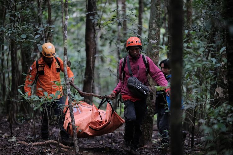 Tim SAR Gabungan membawa kantong berisi serpihan pesawat ATR 42-500 milik IAT di Gunung Bulusaraung, Kabupaten Pangkep, Sulawesi Selatan, Minggu (18/1/2026). Tim SAR gabungan masih berusaha mengevakuasi para korban kecelakaan pesawat meski terkendala cuaca buruk. ANTARA FOTO/Muchtamir/Lmo/tom.