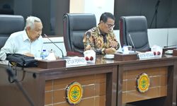 Lahan Rawa Dimanfaatkan untuk Tingkatkan Produksi Padi dan Jagung, Perpadi Berikan Dukungannya