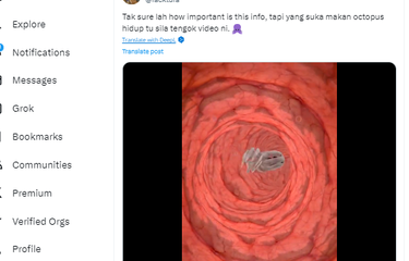 Gurita yang Dimakan Hidup-hidup Disebut Bisa Bertahan di Dalam ...