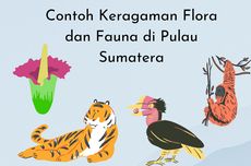 10 Contoh Keragaman Flora dan Fauna di Pulau Sumatera