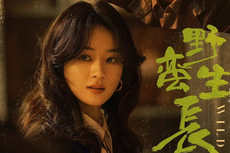 Sinopsis Drama China Wild Bloom, Kisah Seorang Wanita Pantang Menyerah