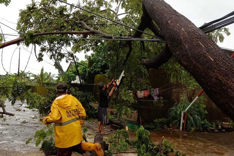 Petugas Dinas Lingkungan Hidup Kota Makassar berusaha memotong pohon-pohon yang tumbang akibat terjangan angin kencang, Jumat (2/4/2021).