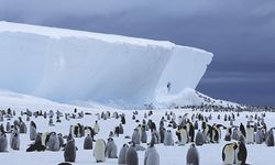 Kutub Selatan Semakin Berubah, Bisakah Diperbaiki?