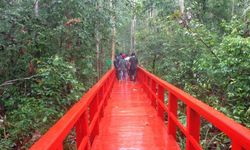 Potensi Panas Bumi Bangka Belitung