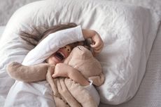 43,5 Persen Penduduk Indonesia Sulit Beli Pangan Sehat, Ini Sebabnya Kata Pakar UGM