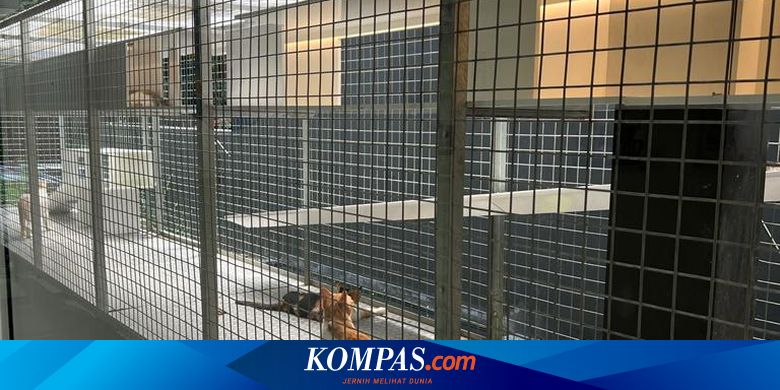 Beli Tiket Rp 100.000, Anda Bisa Nikmati Instalasi dan Pameran Bintaro Design District 2022 - Vimarsana News