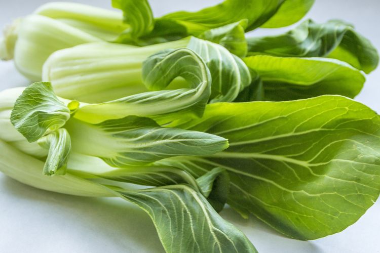 Ilustrasi pakcoy atau sawi sendok