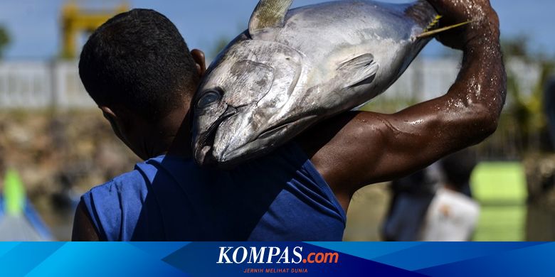 Bank Dunia Kucurkan 1 Juta Dollar AS untuk Kembangkan Sektor Perikanan RI - Kompas.com - Kompas.com