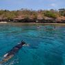 Tour Guide di Labuan Bajo Tewas Saat Snorkeling, Ini Kronologinya