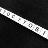 Mastocytosis