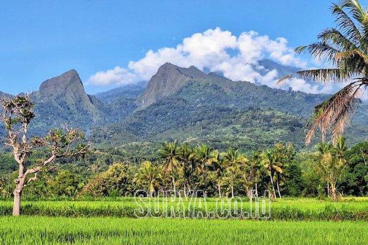 Gunung Saeng dari Desa Sumberwaru, Kecamatan Binakal, Bondowoso pada Jumat (2/5/2025). Seorang pelajar Jember yang mendaki Gunung Saeng Bondowoso jatuh dan masih dalam pencarian sejak Kamis (1/5/2025). 
