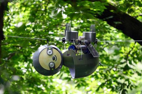 Selamatkan Spesies Langka, Ilmuwan Ciptakan Robot Kungkang