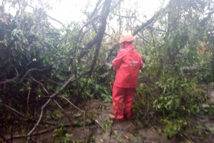 Cuaca ekstrim yang melanda wilayah Kabupaten Bandung menyebabkan pohon tumbang dan bencana hidrometeorologis terjadi pada Kamis (10/3/2022) BMKG sebut cuaca ekstrim masih akan terjadi di bulan Maret 2022 