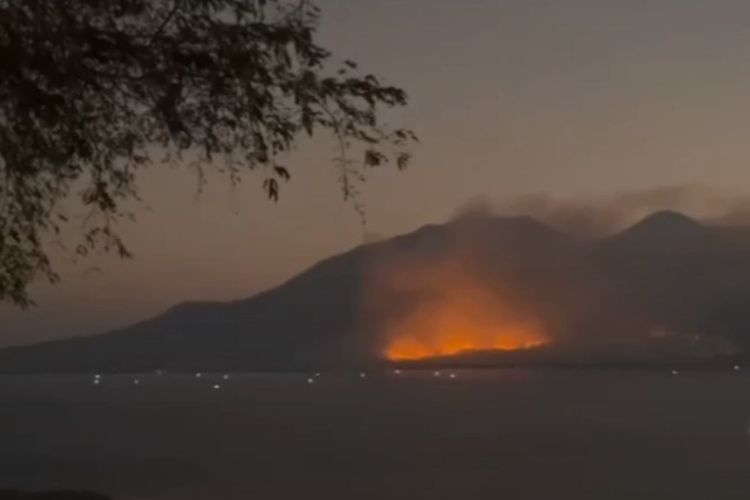 Kebakaran lahan di Desa Nobo, Kabupaten Flores Timur, NTT, Jumat (25/8/2023).