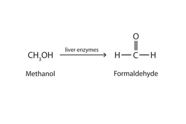 Alasan utama toksisitas metanol adalah karena kita mempunyai enzim hati yang mengkatalisis oksidasi menjadi formaldehida.