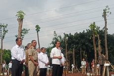 Jokowi Ikut Tanam Pohon di Jaktim untuk Atasi Polusi