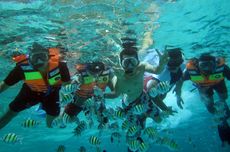 4 Tips Snorkeling di Pulau Rubiah Aceh, Jangan Lewati Pembatas