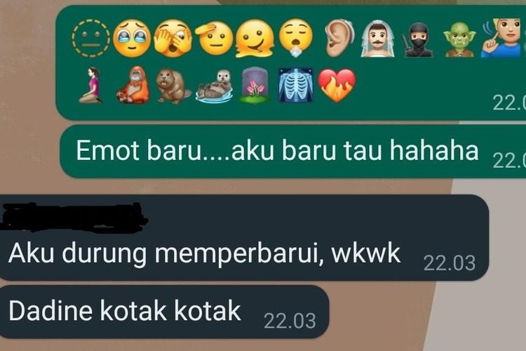 Tangkapan layar chat mengenai emoji baru dari fitur WhatsApp.