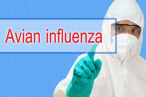 Kesehatan Istri dan Anak Korban Flu Burung Terus Dipantau