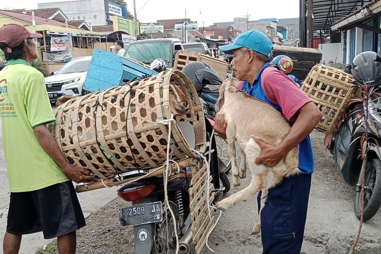 Jasa ojek kambing di Pasar Hewan Ajibarang, Kabupaten Banyumas, Jawa Tengah.