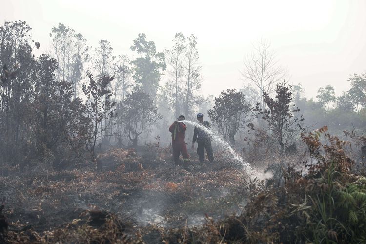 Personel pemadam kebakaran berupaya memadamkan Kebakaran hutan dan lahan (Karhutla) di Jalan Tjilik Riwut Km 10, Patuk Katimpun, Palangka Raya, Kalimantan Tengah, Minggu (29/9/2019).