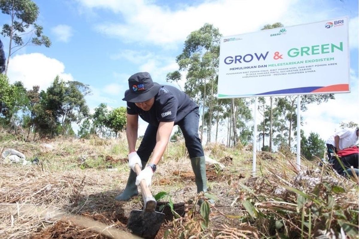 Wakil Direktur Utama BRI Catur Budi Harto mengatakan, BRI Menanam-Grow and Green diimplementasikan dalam berbagai aktivitas, antara lain penanaman pohon di lahan produktif yang disalurkan ke program pemberdayaan Desa BRILiaN.