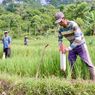 Begini Cara Pasang Patok Batas Tanah yang Benar