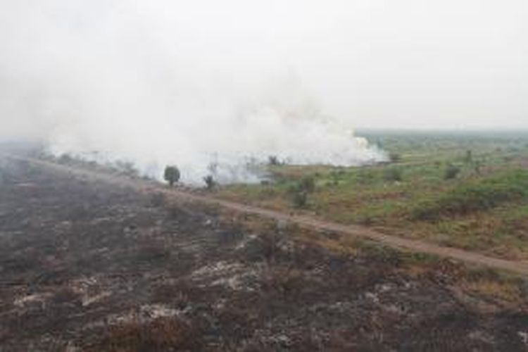 Salah satu kawasan perkebunan sawit di Kabupaten Kubu Raya, Kalimantan Barat yang terbakar dan terpantau dari patroli udara BNPB menggunakan helikopter Bolkow-Bo105 (20/9/2015)