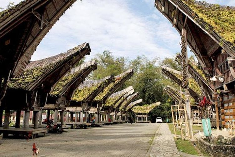 Tongkonan atau rumah adat yang berada di Kete Kesu, Toraja Utara, menjadi salah satu obyek menarik di wilayah ini. Tongkonan yang berusia ratusan tahun ini menjadi salah satu peninggalan sejarah di Toraja Utara.
