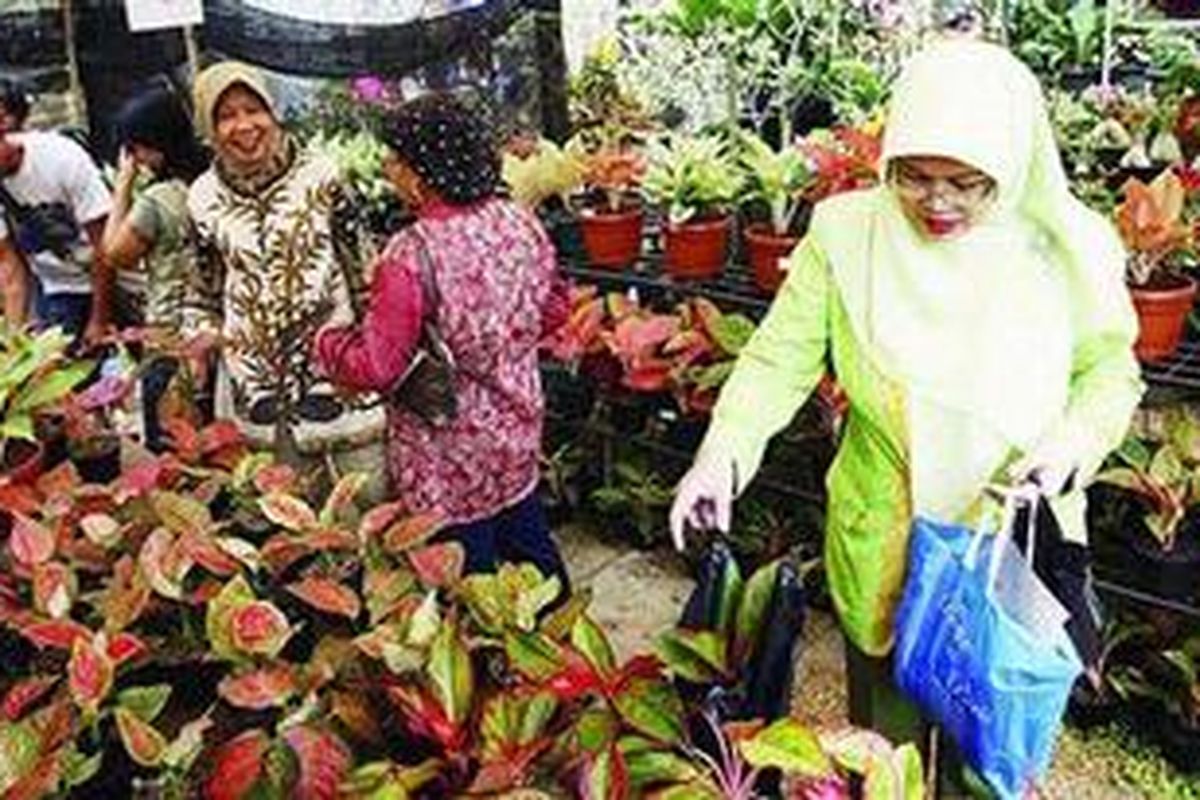 Ilustrasi: Pengunjung memerhatikan Aglaonema yang dipamerkan dalam Flora Fauna 2009 di Lapangan Banteng, Jakarta Pusat, Jumat (7/8/2009).