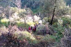 Jip Terjun ke Jurang di Bromo Bawa Rombongan Bimtek Pemkab Ngawi, Sempat Lewat Jalan Menikung dan Tabrak Pembatas