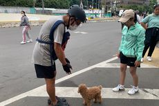 Ketika Masih Ada Warga Bawa Hewan Peliharaan ke Area CFD... 