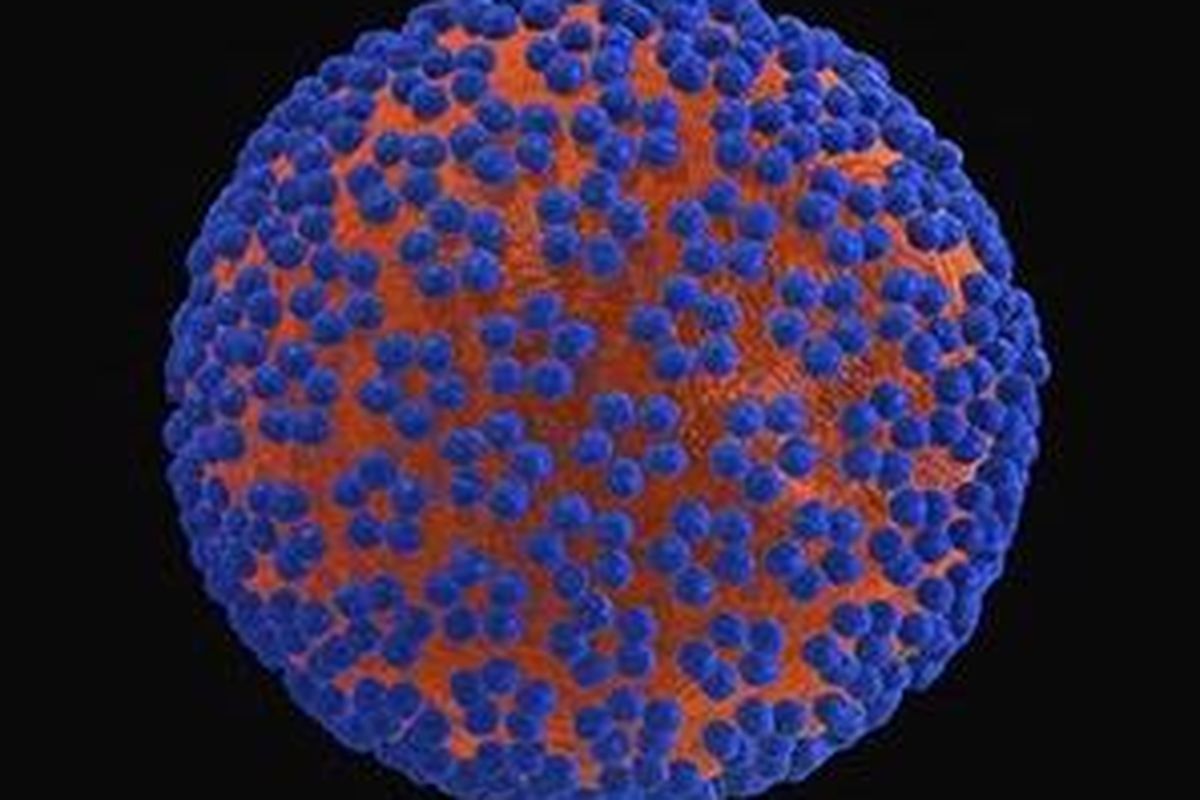 Virus Papilloma Manusia (Mikro)