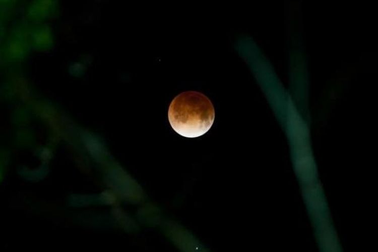 Gerhana bulan terlihat di San Salvador, El Salvador, 15 April 2014. Gerhana bulan kali ini terbilang langka karena bulan berubah warna dari oranye ke merah darah.