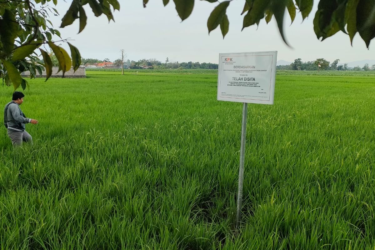 Papan sita aset yang dipasang tim KPK di atas sawah milik Puput Tantriana Sari dan Hasan Aminuddin.