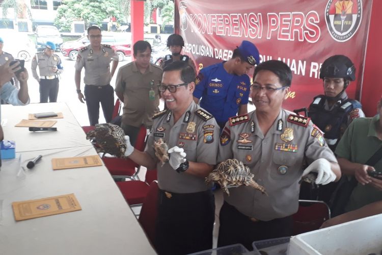 Direktorat Polisi Air dan Udara (Ditpolairud) Polda Kepri mengamankan dua orang tersangka yang kedapatan akan menyelendupkan hewan yang dilindungi ke Malaysia sekitar pukul 18.00 WIB, Senin (19/11/2018).