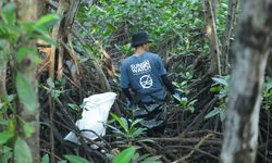 Hadiri Kerja Bakti Massal Mangrove Bali, Mensos Gus Ipul Dorong Masyarakat Jaga Lingkungan