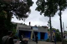 Sedang Asyik Nonton TV, Warga Tangerang Kaget Rumahnya Tertimpa Pohon Tumbang