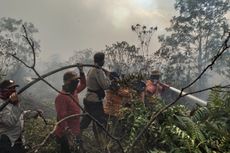 Titik Api Muncul Lagi, 30 Hektar Lahan Gambut Terbakar di Bengkalis