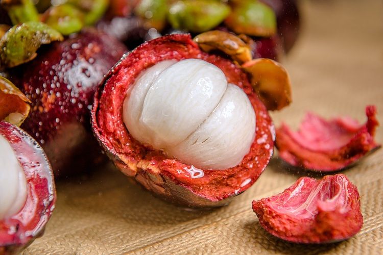Ilustrasi - buah manggis